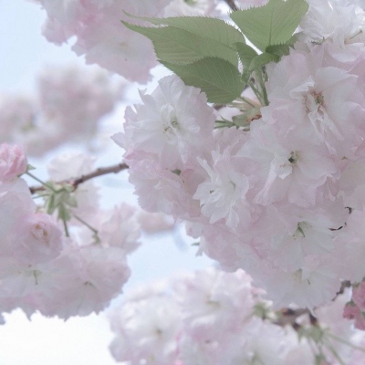 兽设梦幻风格创作福瑞交流群